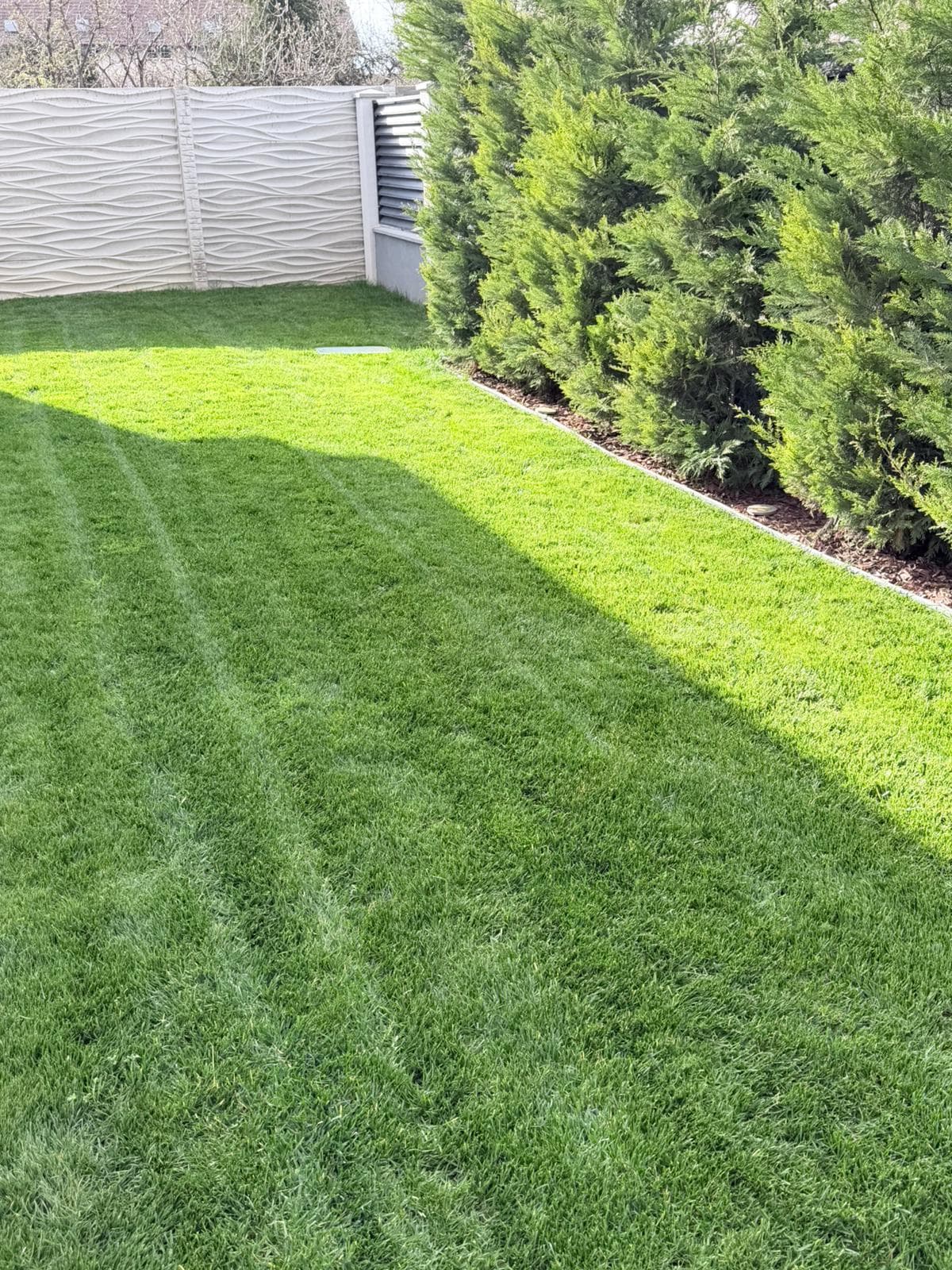 Întreținere Completă