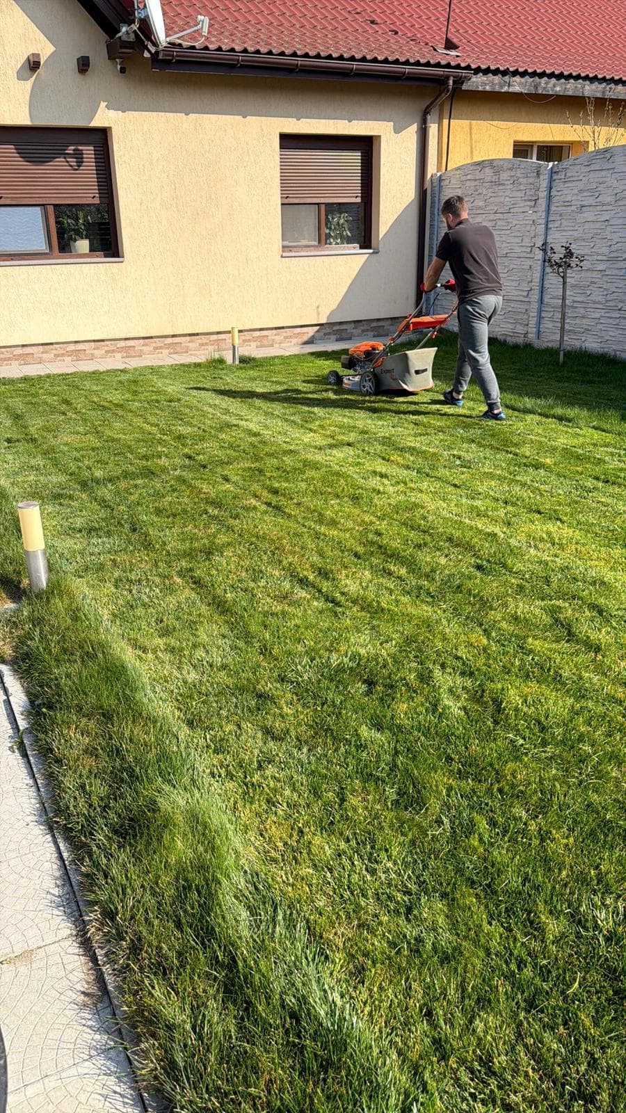 Echipă Profesionistă