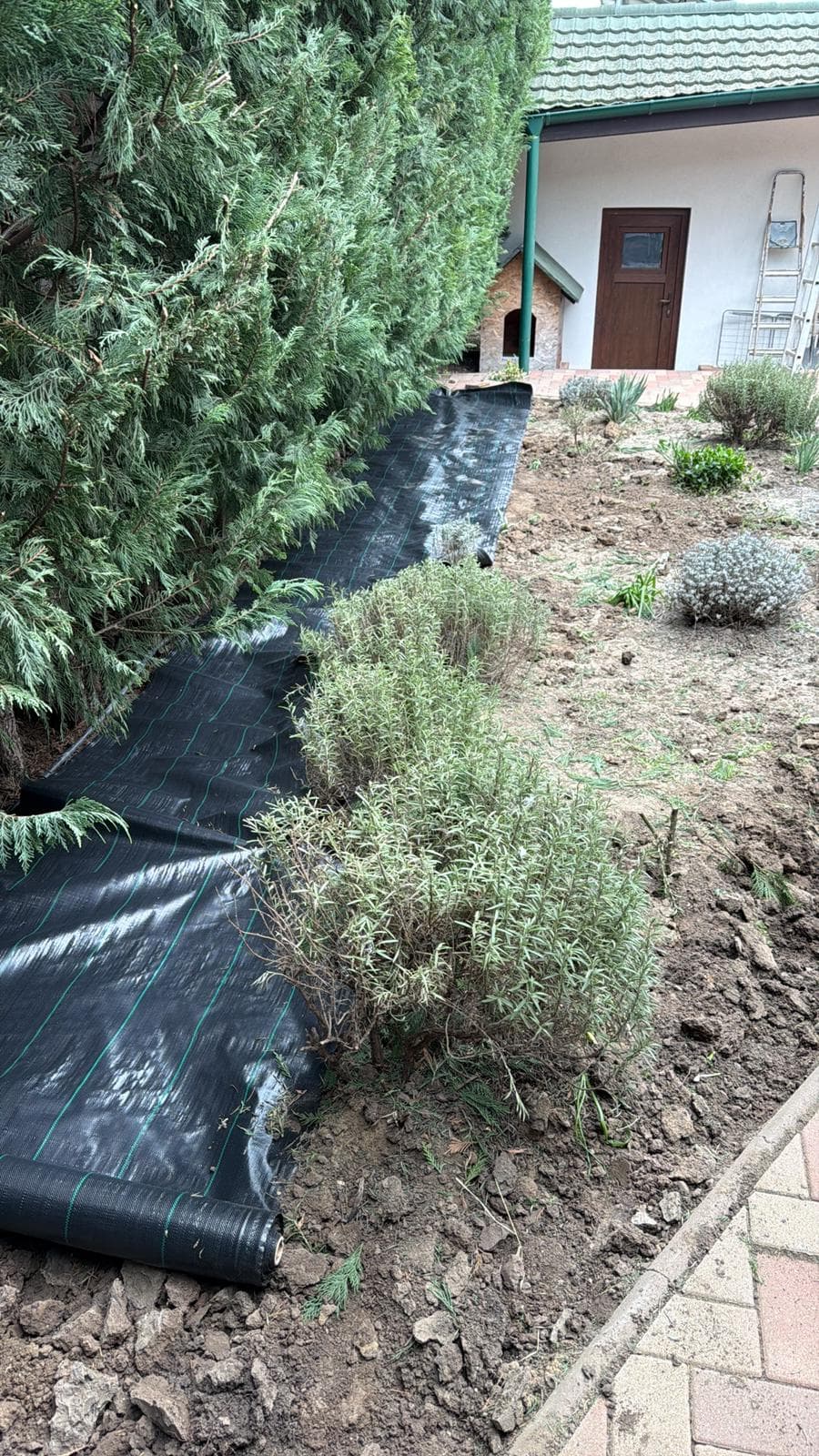 Înainte: Amenajare Grădină cu Pietriș