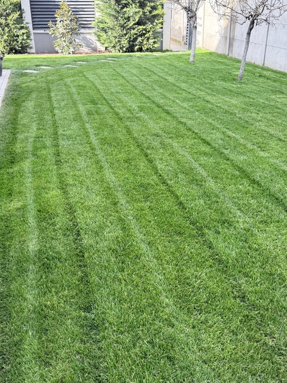 Tuns Gazon Profesional